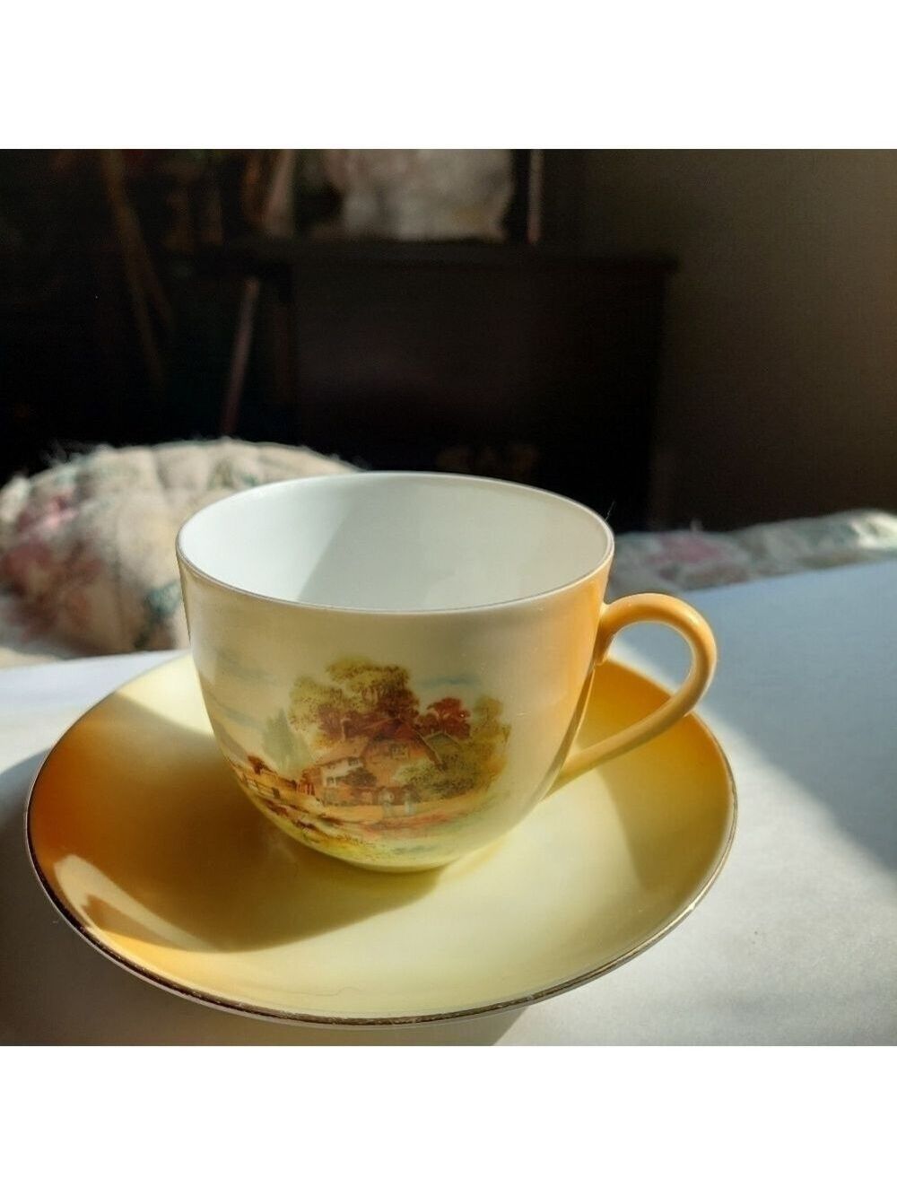 Vintage* Handpainted Porcelain Cup and Saucer Set